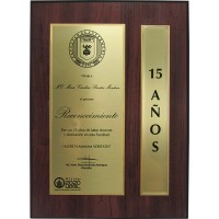 Placa MDF Resina